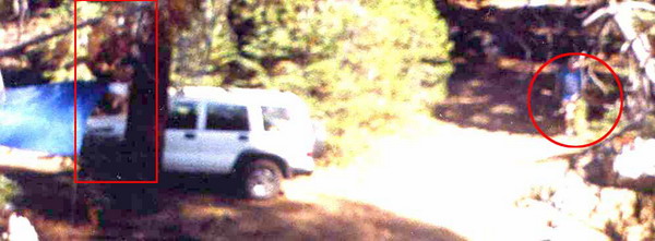 Bigfoot