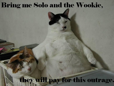 Bring me solo and the wookie