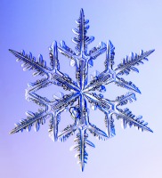 Snowflake 1 Snowflake 1