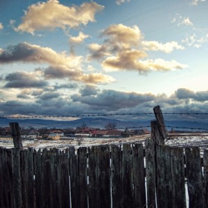 Winter in Transylvania Winter in Transylvania