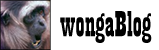 wongaBlog